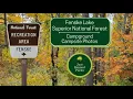 Fenske Lake Campground I Superior National Forest I Campsite I Minnesota