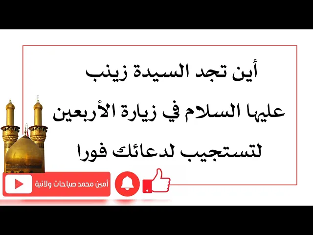 ⁣أين تجد السيدة زينب في زيارة الأربعين لتستجيب لدعائك فورا