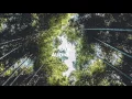 Download Lagu [No Copyright Music] Spring In My Step - Silent Partner