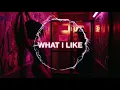 Ace Milo & Nyla Rose – What I Like [SV BEATS PRODUCTION] (Official Audio)