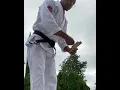 Download Lagu Karate (Seiken Tsuki)