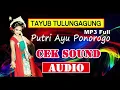 Download Lagu Tayub Tulungagung - Cek Sound - Glerr...