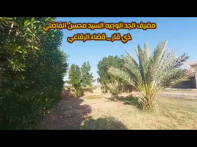 ⁣اللهم صل على محمد وآل محمد #مضيف #السادة_الفواضل