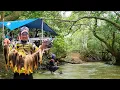 Download Lagu 2 hari camping di hutan..!! Mancing siang dan malam panen ikan masak di pinggir sungai