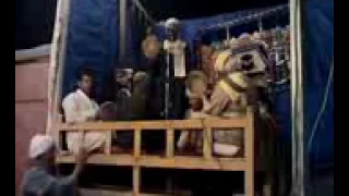 الشيخ علاء بكرى العديسى بمحافظة الاقصر 