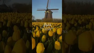 اقم الصلاة لدلوك الشمس الى غسق الليل وقران الفجر سورة الإسراء القارئ شريف مصطفى Short 