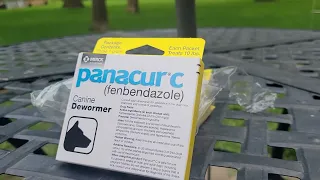 Panacur C Canine Dewormer Dogs 1 3 Packets Gram Each Packet Treats Review