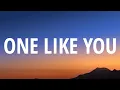Download Lagu LP - One Like You (Lyrics)