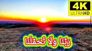 ربنا ولا تحملنا بصوت عبد الناصر حرك حالات واتس اب قران فوركي 4k تصميمي 