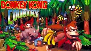 Donkey Kong Country Full Game 101 Walkthrough 