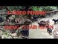 Download Lagu Berburu babi hutan,  5 video pendek. Babi hutan VS Anjing.