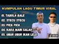 Download Lagu Kumpulan Lagu Timur Viral 