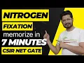 Nitrogen fixation microorganisms easy to remember Tricks to remember nitrogen fixation examples