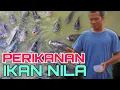 Ikan Perikanan - Life Skill Santri : Dayli Santri PPMIT || 30-12-2021
