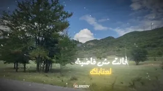 الحلوه لو عايزاك هتجيلك سيبك انت من المعافره  اغاني دندنها