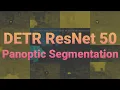 DETR ResNet 50 Panoptic Segmentation