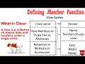 How to Defining member functions inside class outside class tutorial