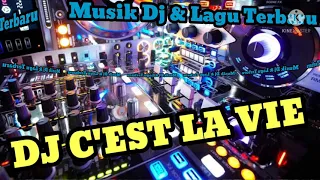 Download DJ C'est La Vie MP3