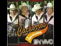 Los Cachorros de Juan Villarreal - El Regalo Caro (En Vivo)