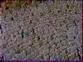 Download Lagu Sourate Al-Anbiyâ' (Les Prophètes) - Sheikh `Alî Jaber