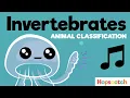 Animal Classification The Invertebrates Song