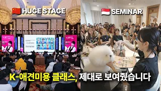K-애견미용 클래스 제대로 보여줬습니다🔥 싱가포르&중국 출장 Vlog