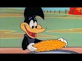 Download Lagu Pica-Pau Se Disfarça de Corvo | 2.5 Horas de Episódios Antigos | Pica-Pau em Português
