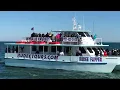 Incredible Whale Watching Rudee Tours Virginia Beach