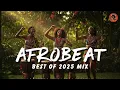 Lagu BEST AFROBEAT MIX 2025 🌴 Nonstop Amapiano Hits for Party \u0026 Dance Lovers