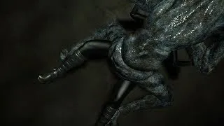 resident evil 6 ada black widow ryona