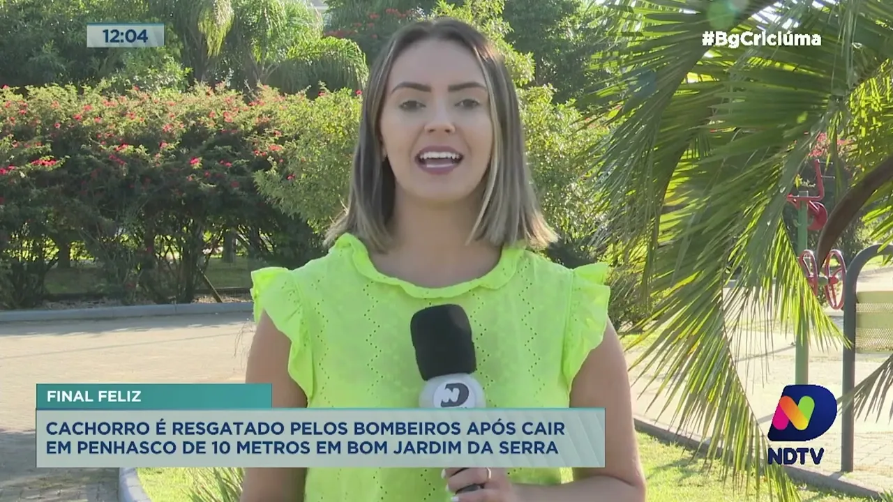 Cachorro é resgatado após cair em penhasco de 10 metros