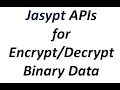 Jasypt Tutorial - Jasypt APIs for Binary Data