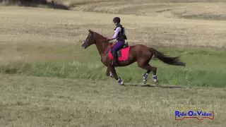 242xc lillian simpson on oshi jt yr training cross country spokane ht sept 2017