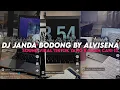 Download Lagu DJ JANDA BODONG BY ALVISENA || YANG KALIAN CARI VIRAL TIKTOK MENGKANE ‼️
