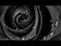 Blackstreet-Don't Leave Me (Hip-Hop Mix - Radio Fade)