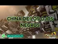 CHINA DE LOS OJOS NEGROS-LA DIRECTIVA DE OAXACA 🇲🇽