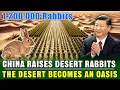 Lagu UNBELIEVABLE!  China Breeds 1,200,000 Rabbits in The Desert to Turn The Desert into an Oasis!