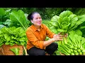 Download Lagu Panen Sawi Raksasa Segar dari Kebun – Dijual di Pasar Desa \u0026 Masak Menu Sederhana di Rumah