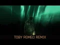 K-391 \u0026 RØRY - Aurora (Toby Romeo Remix)