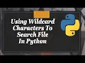 Using Wildcard Characters To Search File In Python