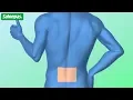 How to apply Salonpas Pain Relief Patch Lower back