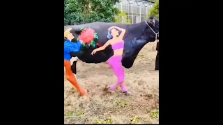 This Video Is Hilarious 