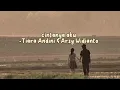 Download Lagu cintanya aku || Tiara andini \u0026 Arsy Widianto || speed up song tiktok