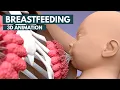 Download Lagu Breastfeeding | 3D Animation