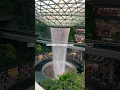 Jewel Changi Airport Singapore tallest indoor waterfall. #changi #jewel #travel #singapore