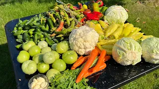 TURSHI Ruska Salat 😱 Të gjitha në një Bure