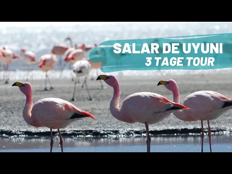 Download MP3 Warum Boliviens Salar de Uyuni zu jeder Südamerika Reise gehört | WELTREISE VLOG #71