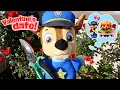 Paw Patrol Baby Chase Skye Have a Cute Valentine s Date