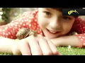 Theme Tune -  Bluey and more | 33+ Minutes | CBeebies‌