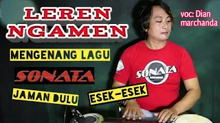 Download Mengenang lagu SONATA jaman dulu//Leren ngamen(Dian marchanda). cover Beny serizawa MP3